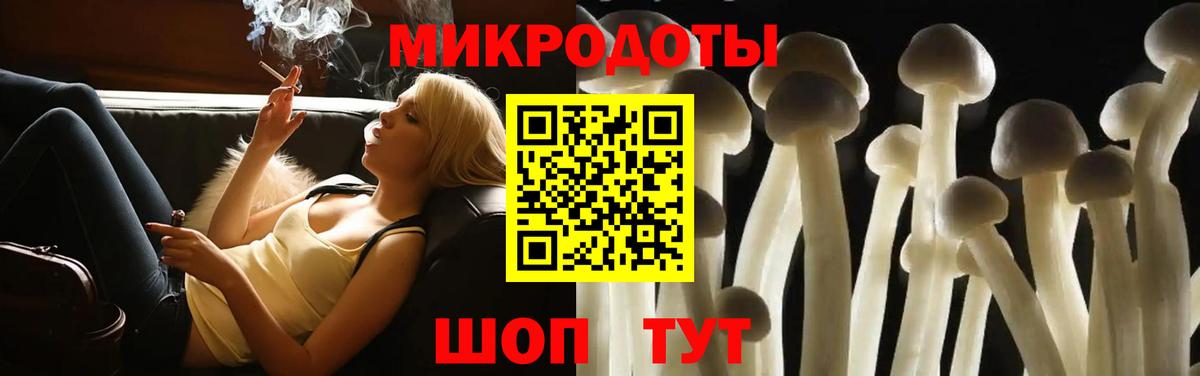Псилоцибиновые грибы прущие грибы Городец